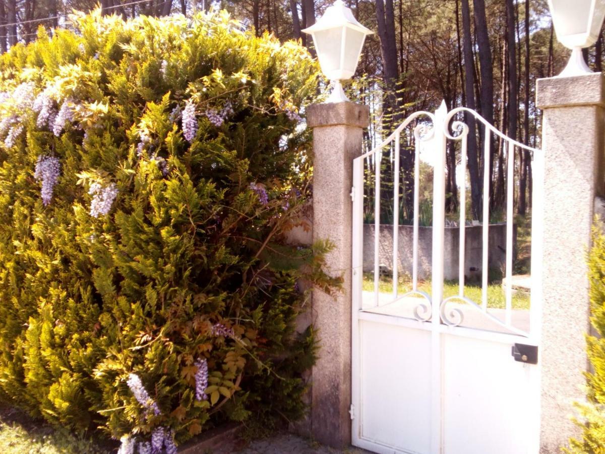 Casa Do Soito Hotel Мангуалде Екстериор снимка