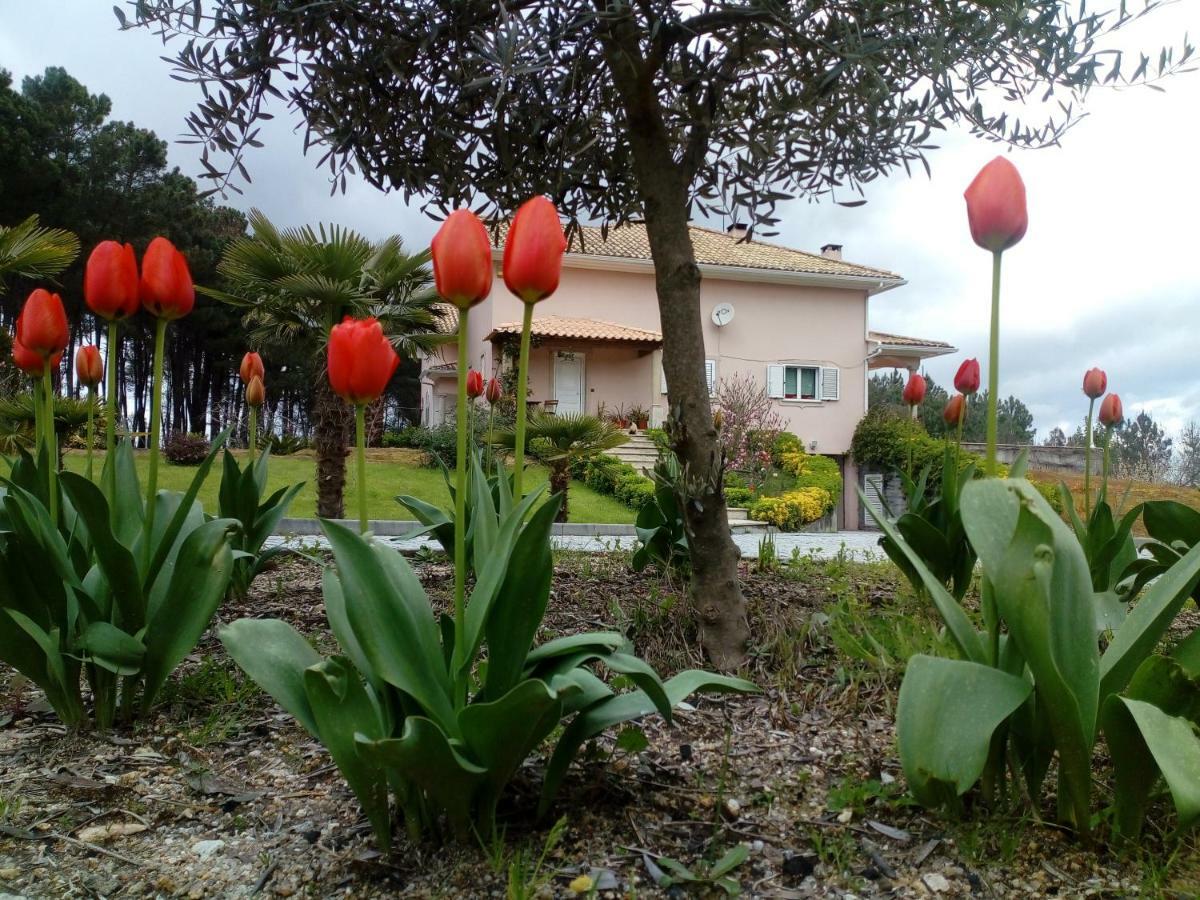 Casa Do Soito Hotel Мангуалде Екстериор снимка