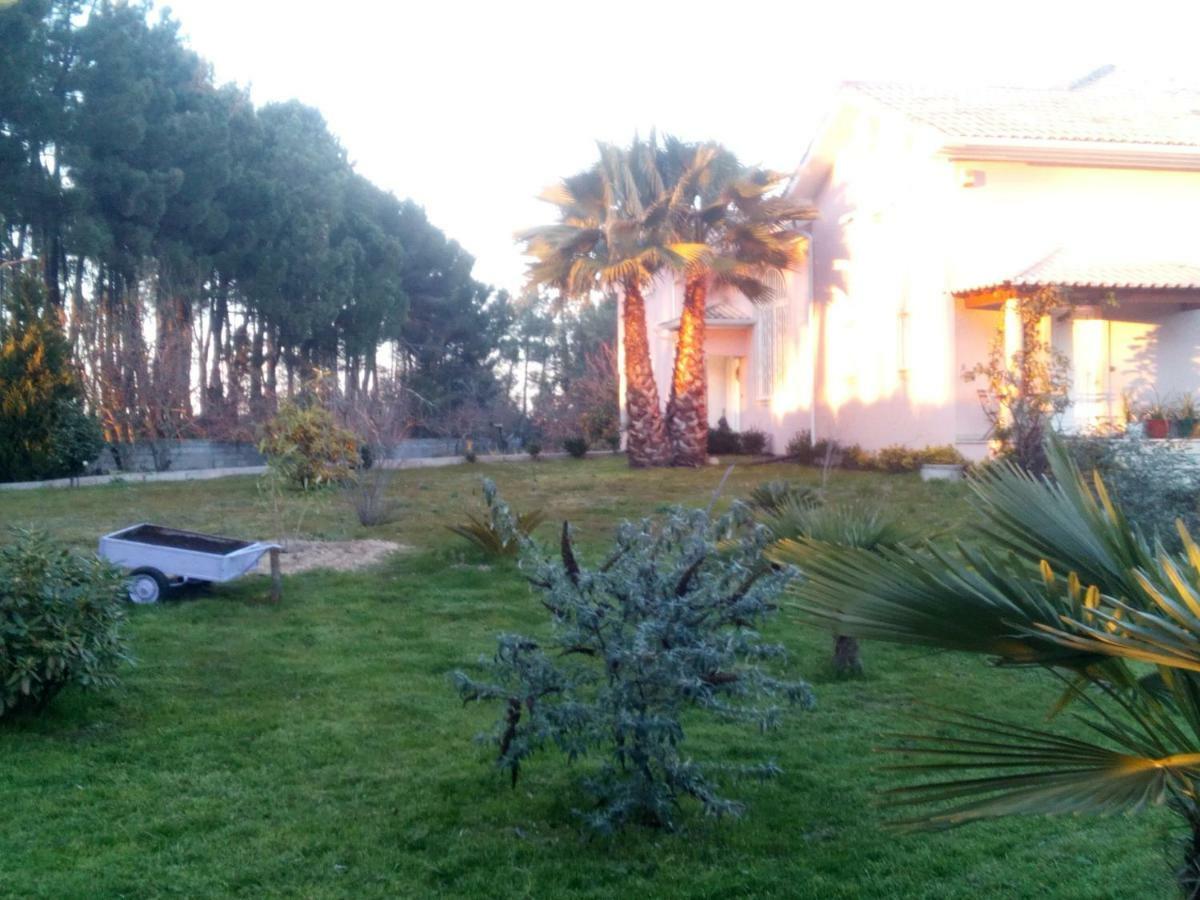 Casa Do Soito Hotel Мангуалде Екстериор снимка