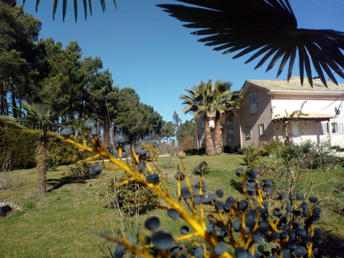 Casa Do Soito Hotel Мангуалде Екстериор снимка