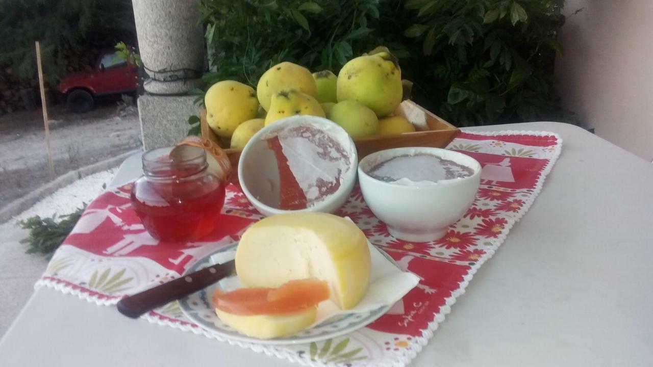 Casa Do Soito Hotel Мангуалде Екстериор снимка